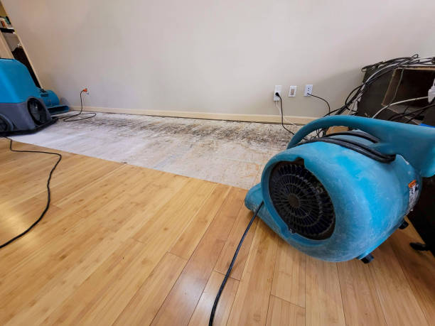 Professional Burst Pipe Water Damage technician working in Amity, PA